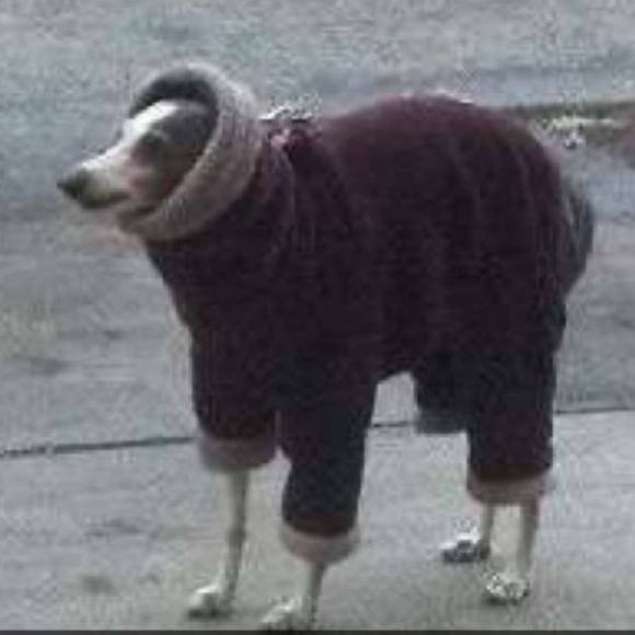 Meet your Posher, Doug - Picture 1 of 1